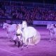 Jumping-Indoor-Maastricht